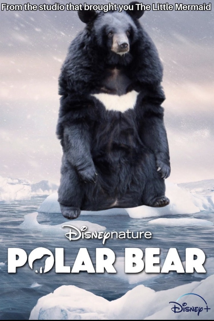 polar bear - meme