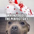 Perfect gift for a Pitbull