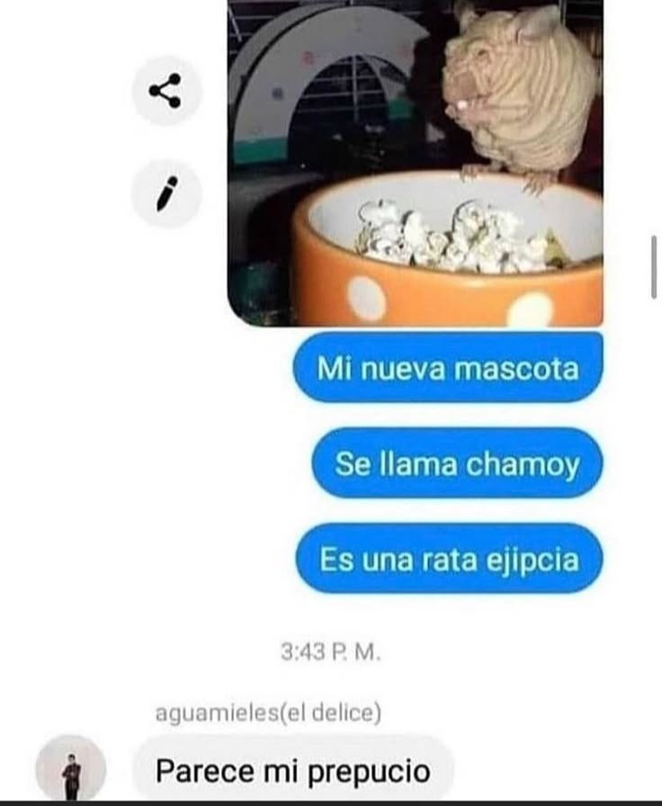Que bonito ☺️ - meme
