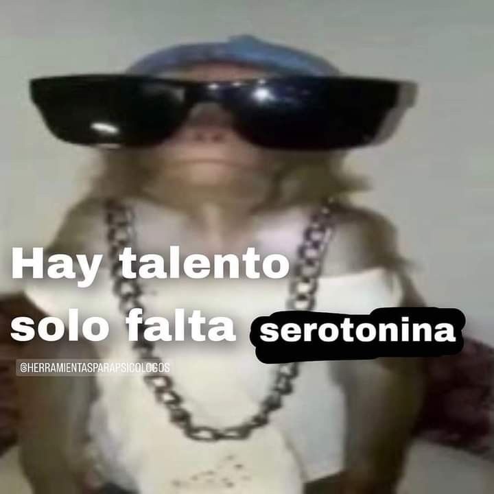 H te ve - meme