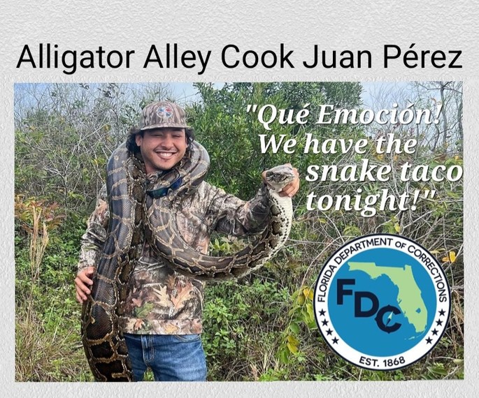 Annual Fl Python Hunt Is ON - meme