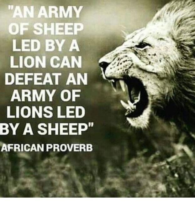 Amazing African proverb - meme