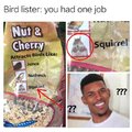 Bird lister: you had one job