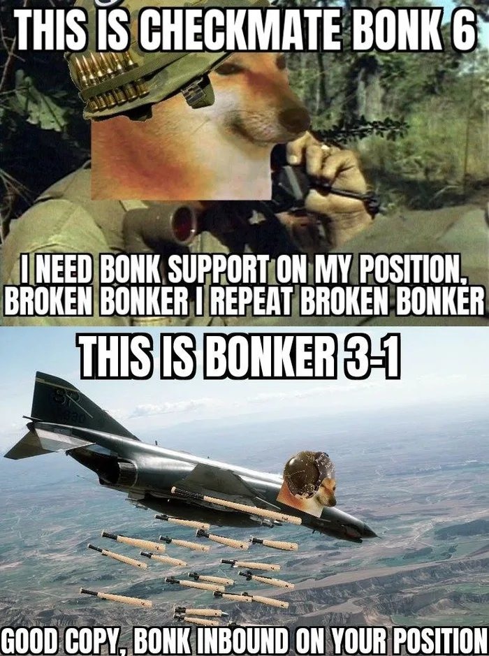 Bonk support - meme