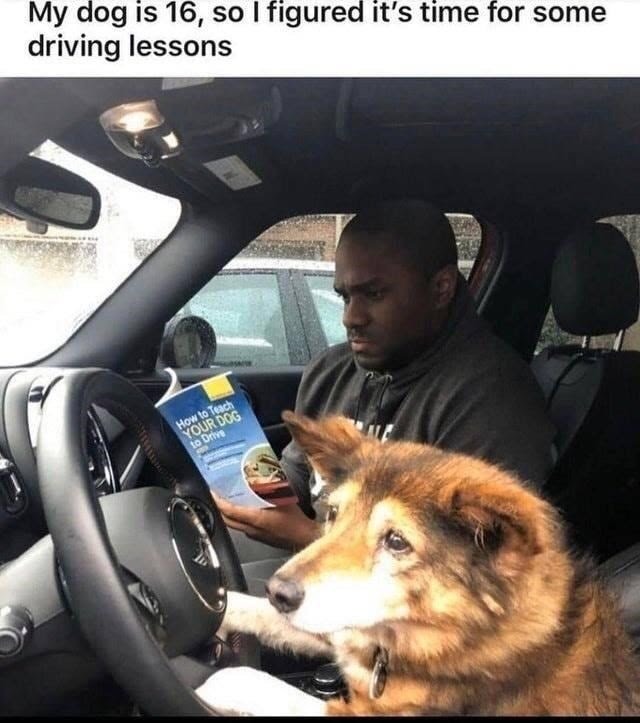 Still a better driver then some - meme