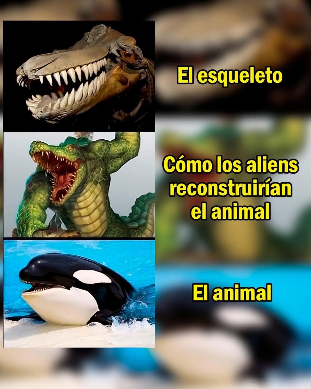 Esqueleto vs resconstrucción - meme