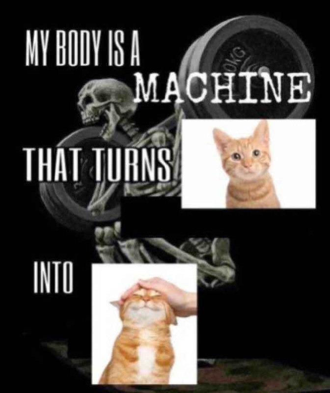Must me pet - meme