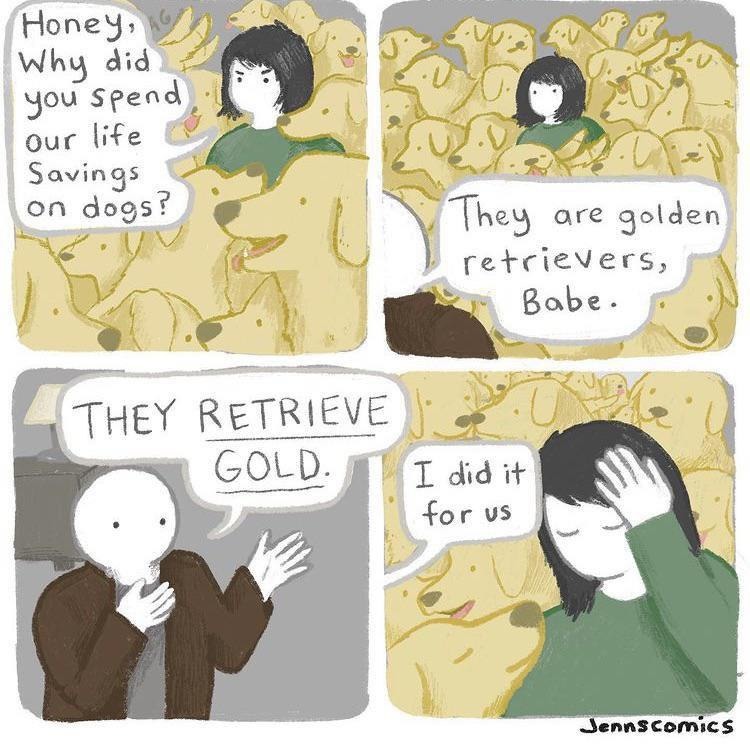 Babe I didn’t waste our savings, golden retrievers literally retrieve gold - meme