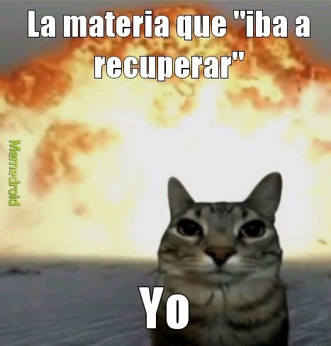 Yo - meme
