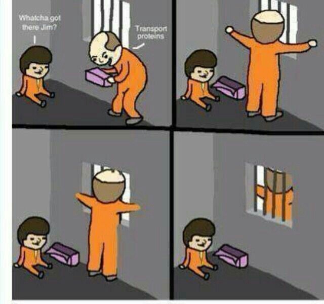 because İts a CELL WALL - meme