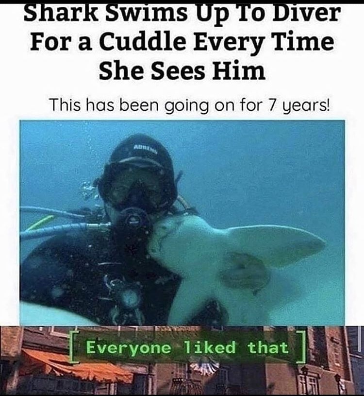 I wanna big thicx shark girlfriend - meme