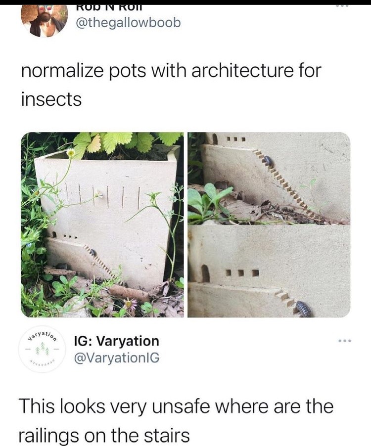 tiny bug stairs - meme