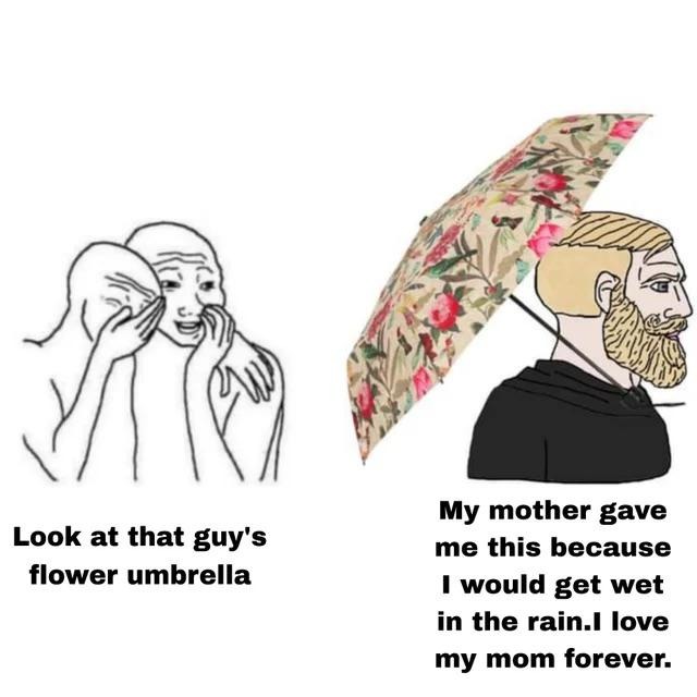 Thank mom, this umbrella is so useful - meme