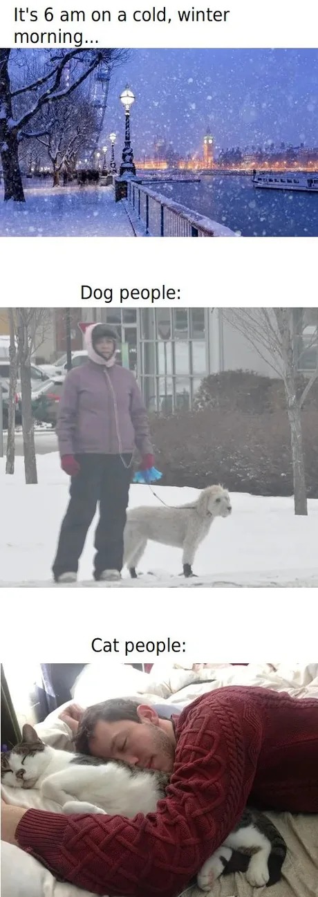 Winter meme for the dogs and cats owners