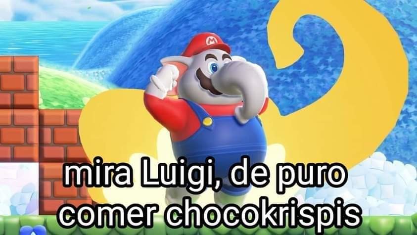 Meme de Super Mario Wonder