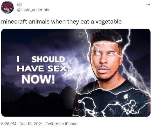 "Your_mom_joke" - meme