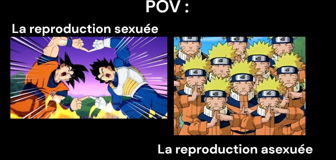 C'est le cours d'SVT tkt.. (déso pour la qualité c mon premier meme)