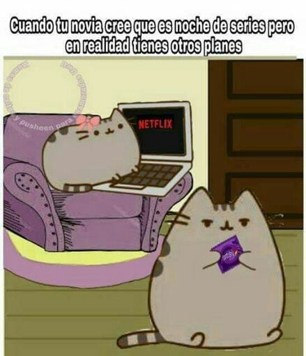 Netflix And Chill - meme