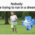 Dream run