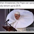 Pope snakes are highly venomous!