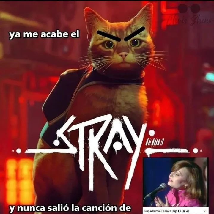 Stray - meme