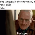 Youtube surveys