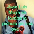 Juan luis moya