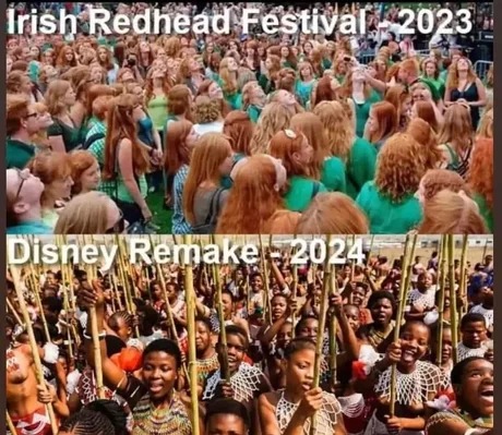 Disney remakes 2024 - meme