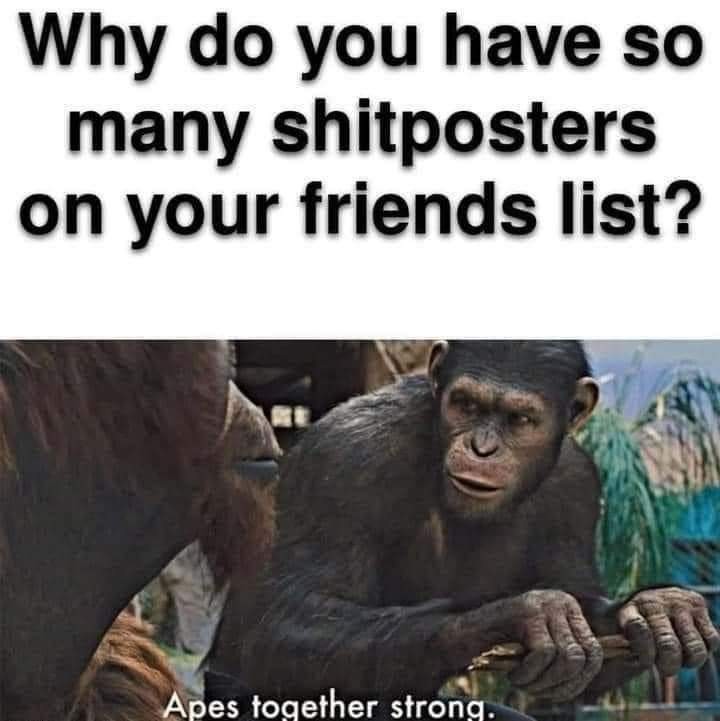 Yes - meme
