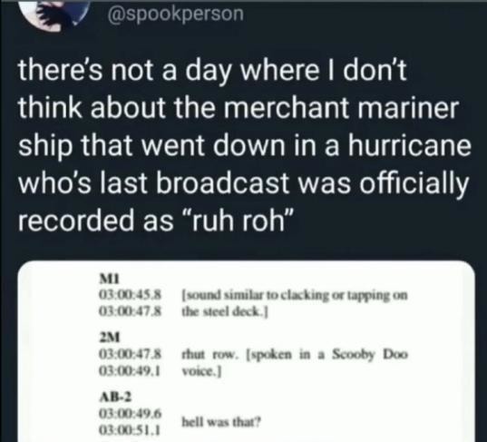 Final message from a sinking ship was literally 'ruh roh' - meme