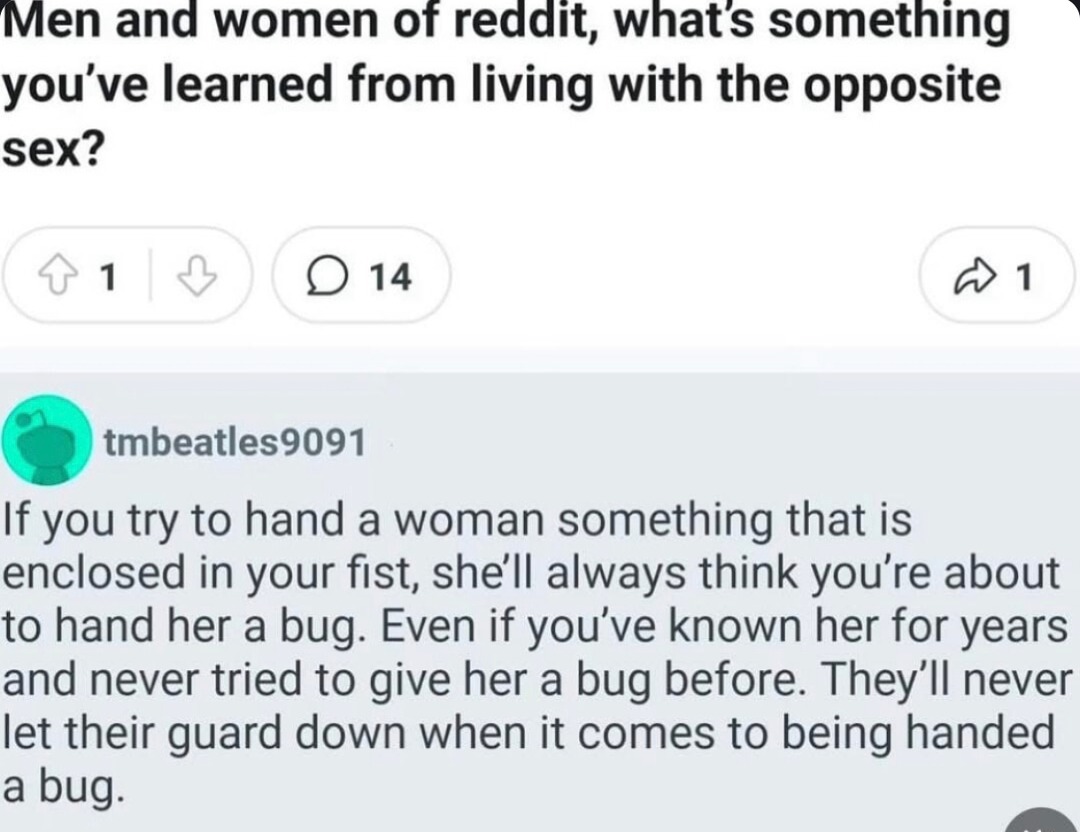 Hand her something in a closed fist and she assumes it's a bug, every time - meme