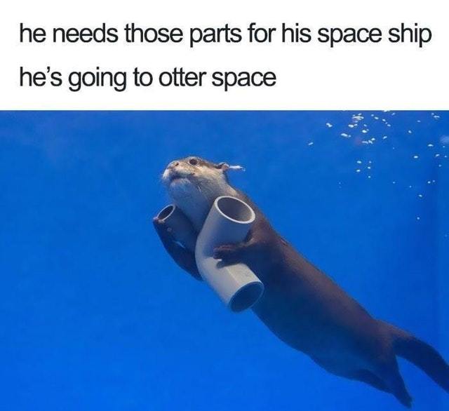 He's going to otter space - meme