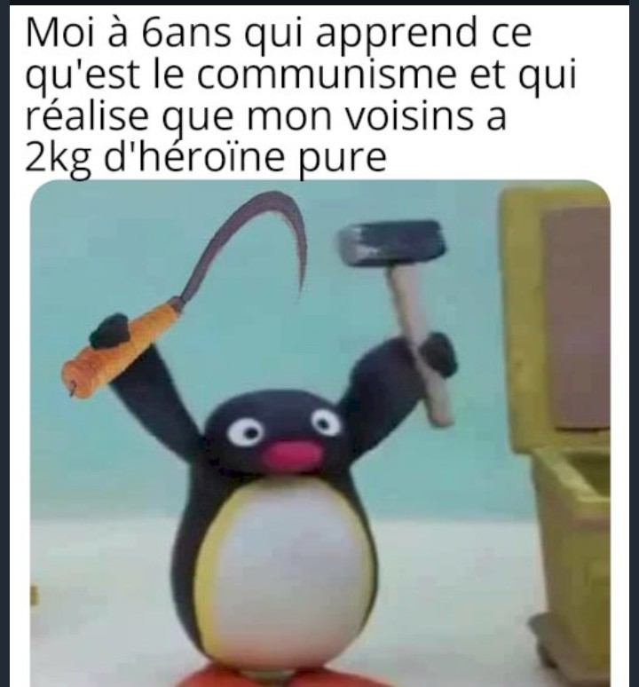 Pingouin communiste - meme