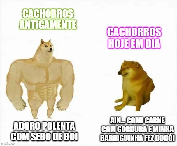 Gatos - meme