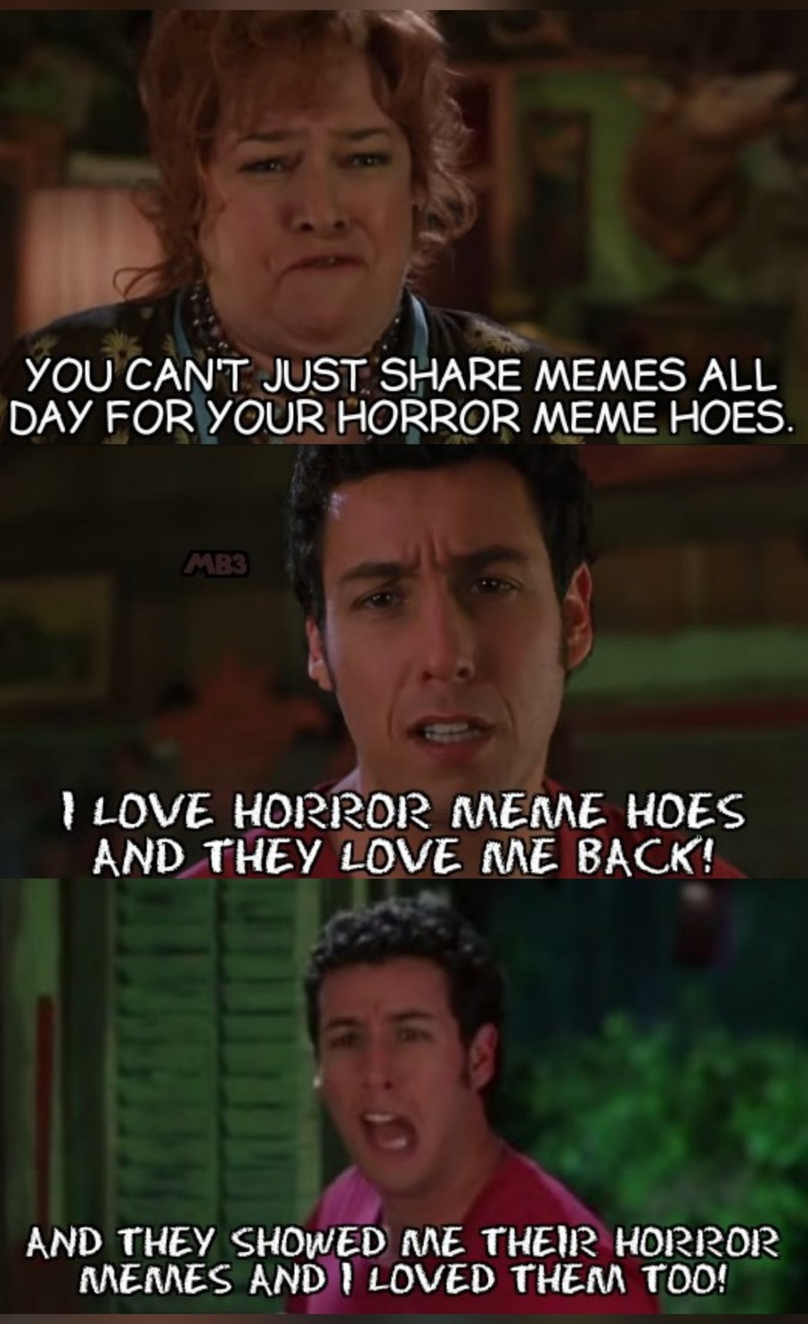 Waterboy Horror - meme
