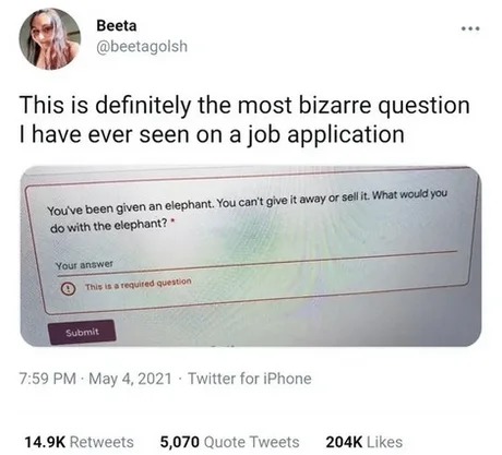 Job application - meme