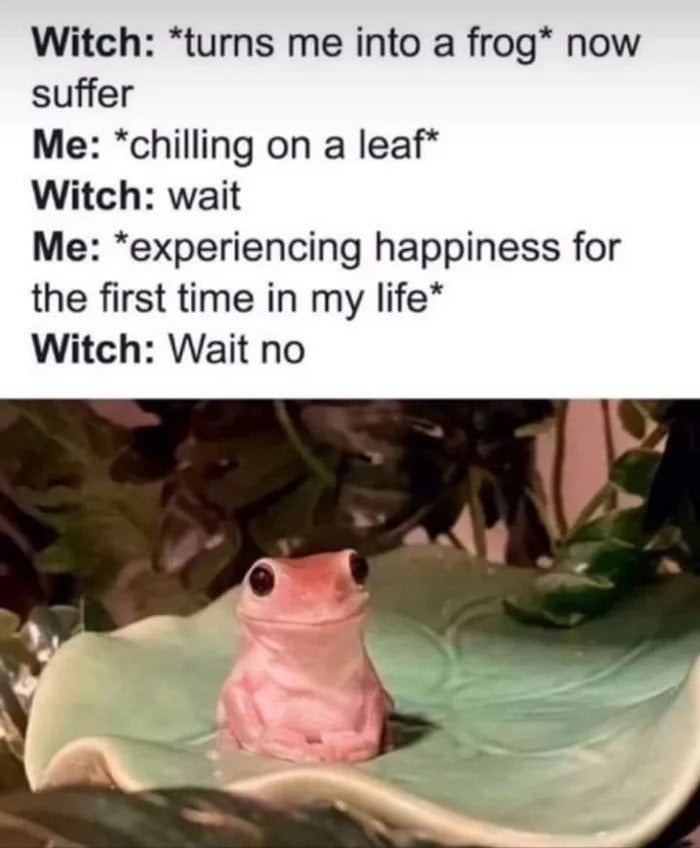 Witches were always misunderstood, she just wanted to make you happy. - meme