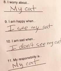 a cat lover for sure - meme