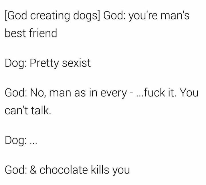 bad doggo - meme
