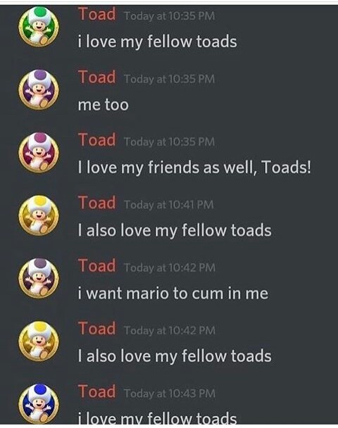 Toad - meme