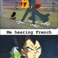 I hate the French language :)