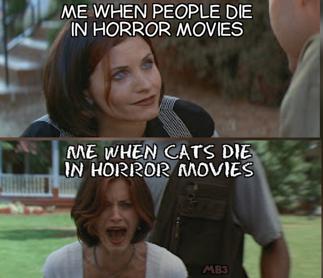 Cats in Horror - meme