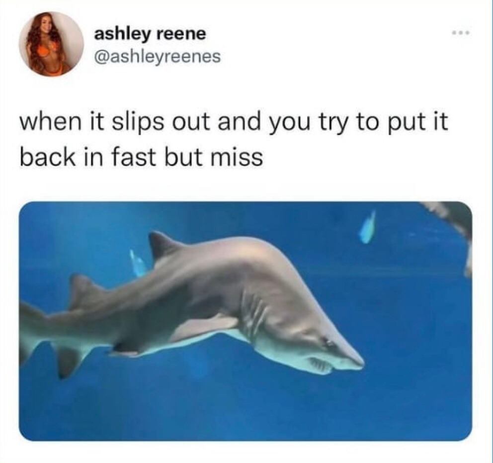 a “just the tip” slip - meme