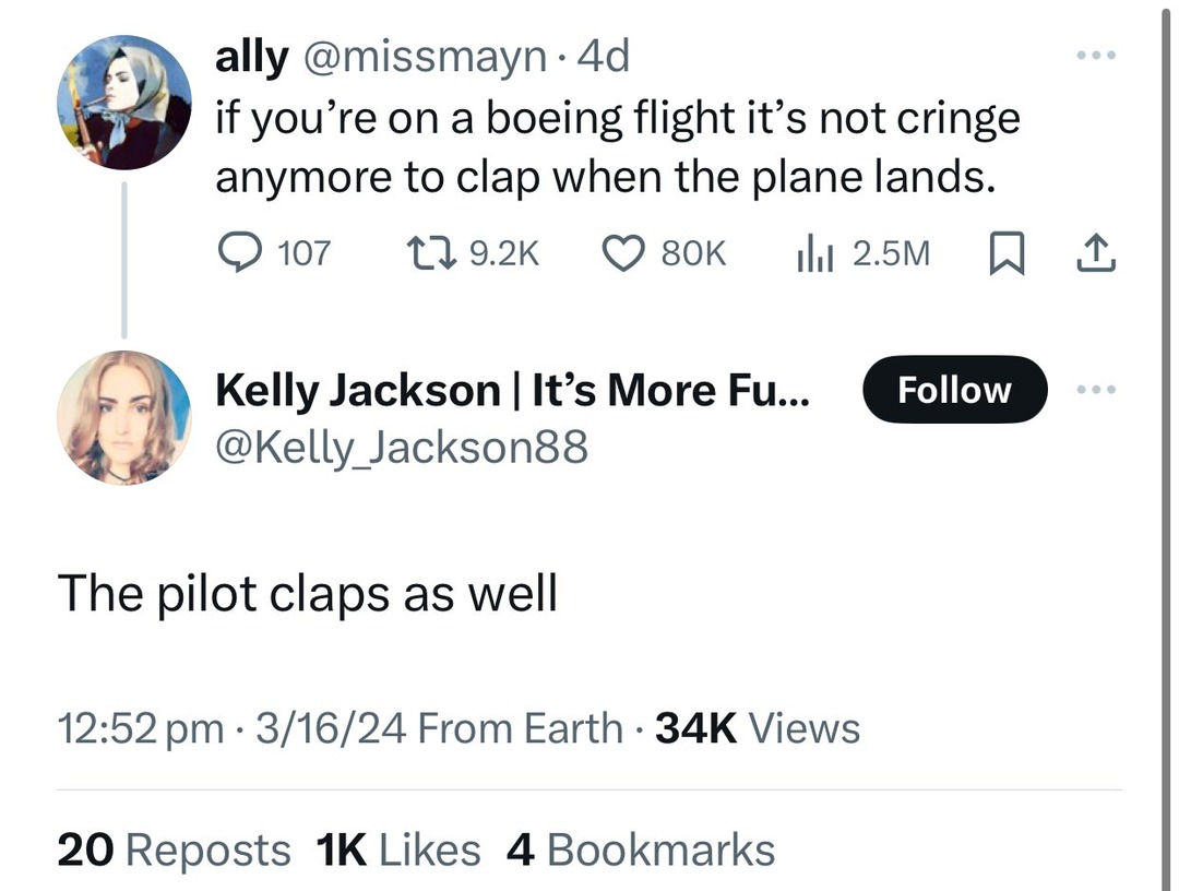 dongs in a flight - meme