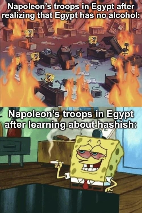 Napoleon's troops in egypt - meme