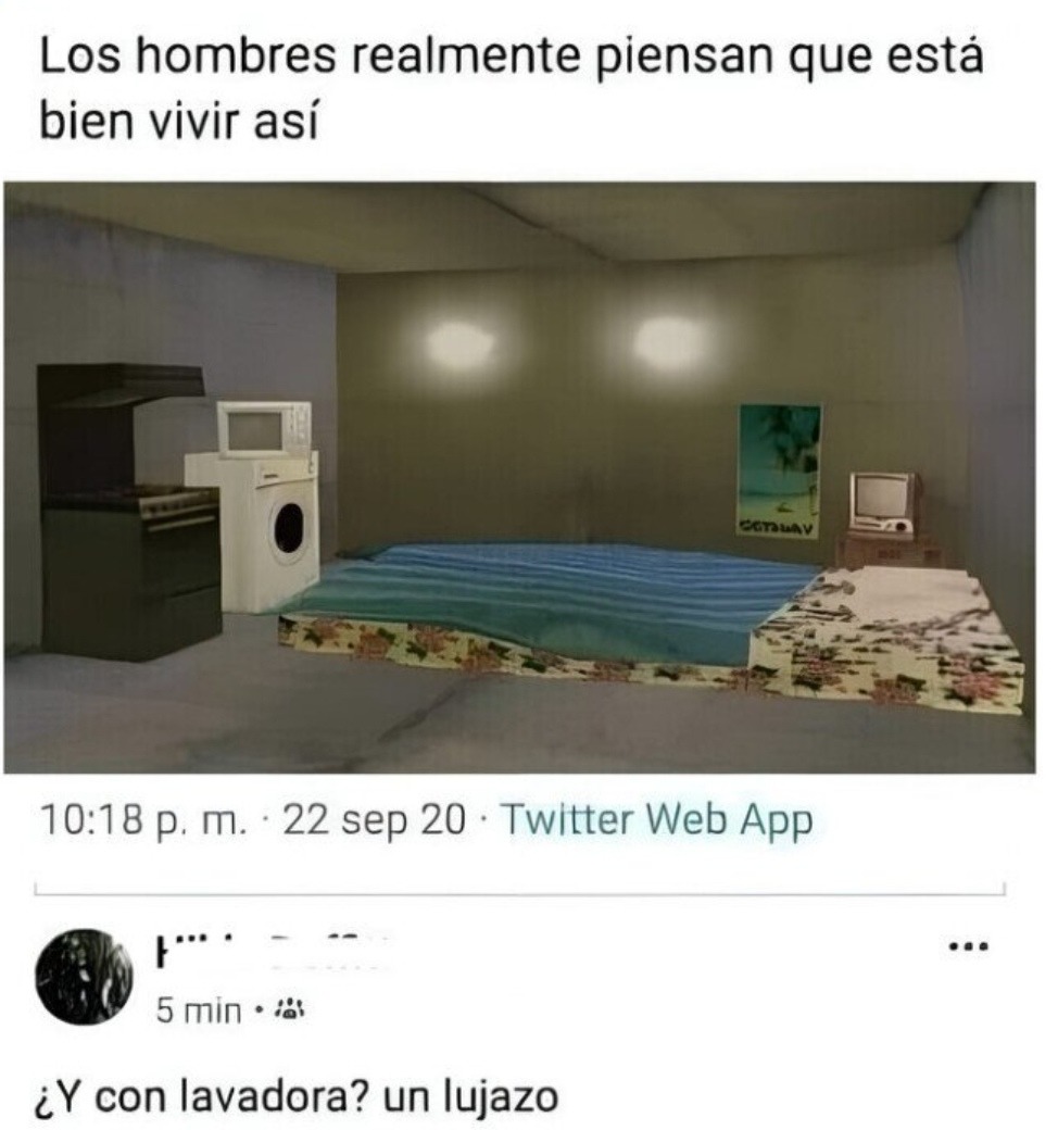 vivir así no está bien bro, pero con lavadora... lujo - meme