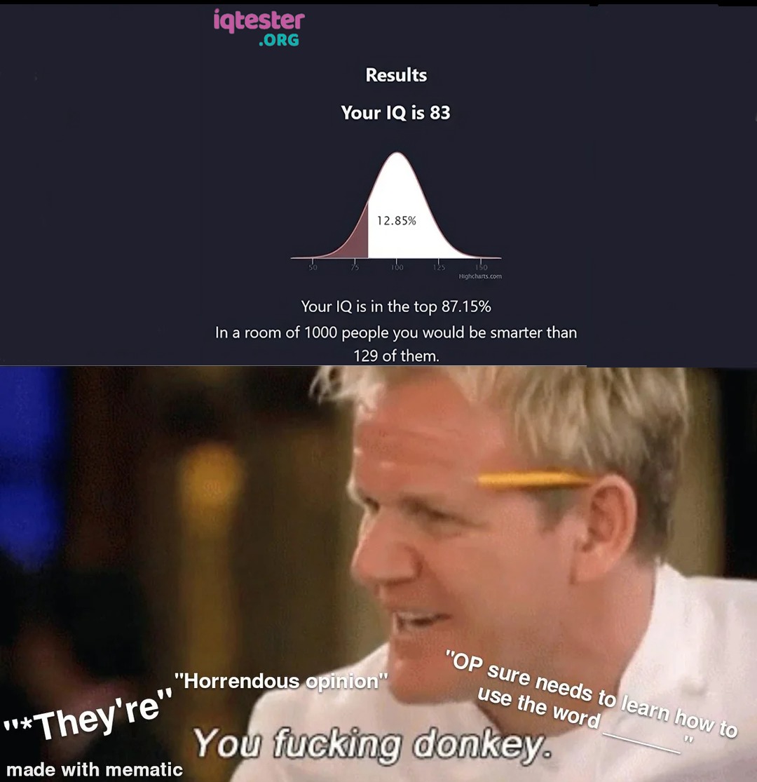 When your IQ test results come in, and the grammar police attack - meme