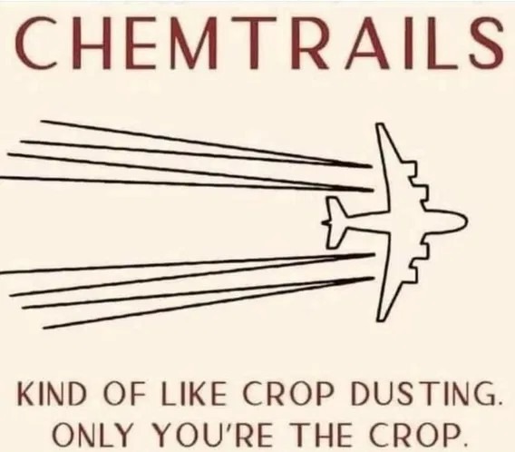 Conspiracy theorists are on a roll - meme