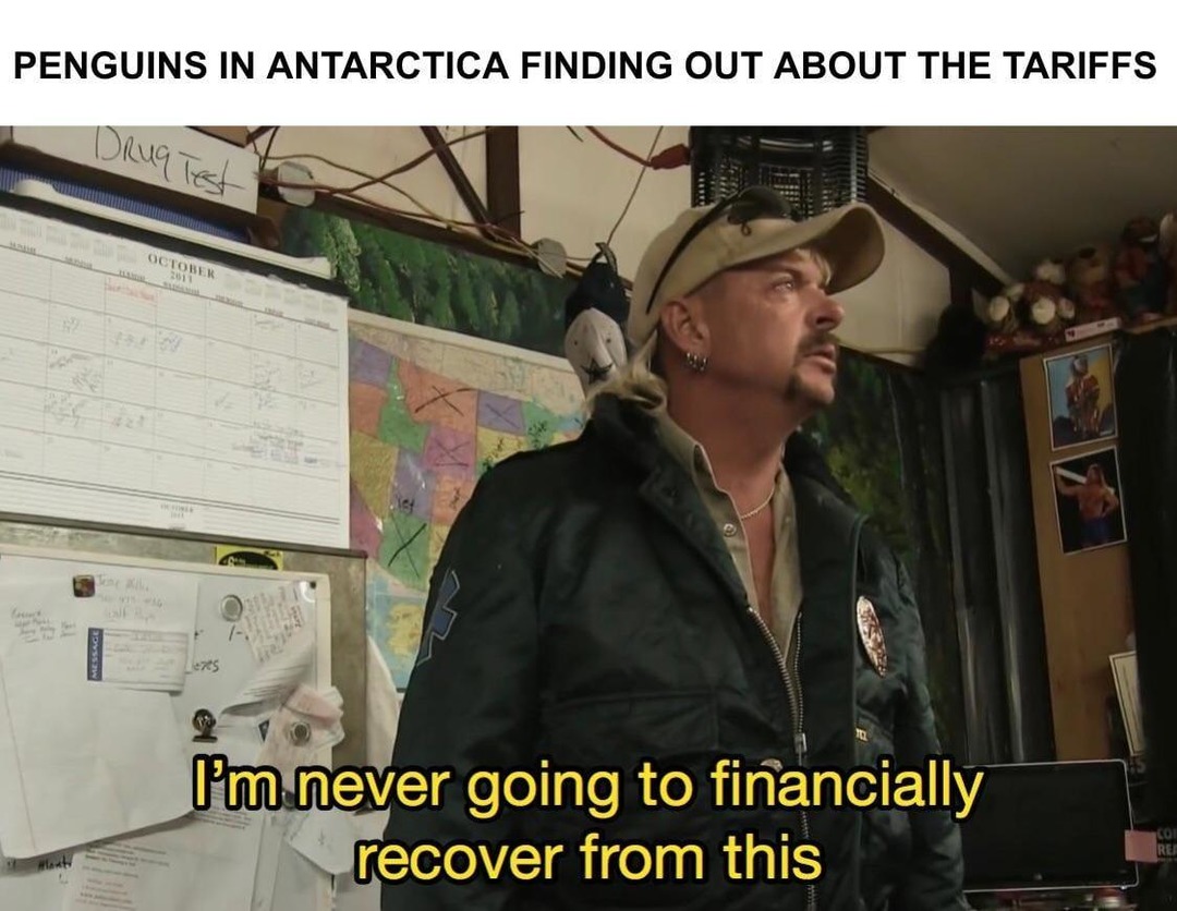 Antarctic penguins realizing they’re now in debt - meme