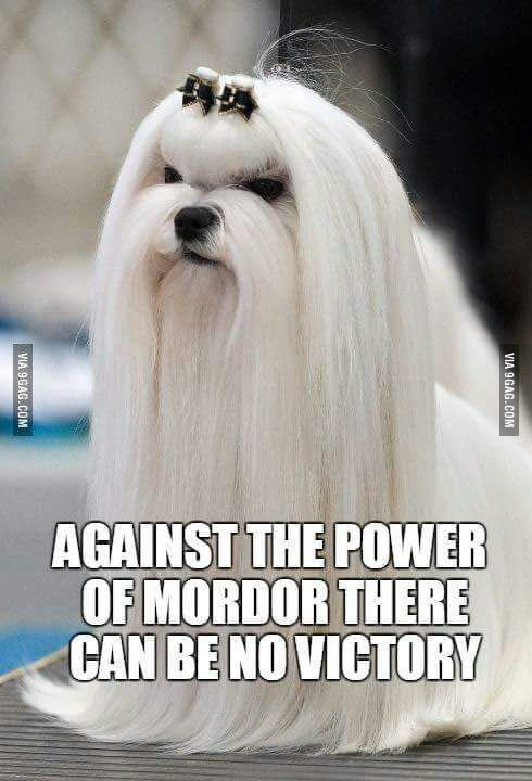 Saruman was wrong - meme
